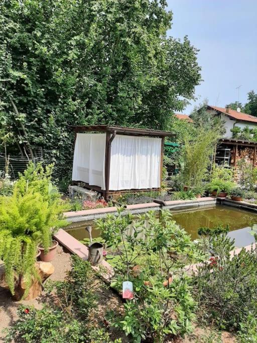 B&B Vegan La Mucca Felice - Grazioso Appartamento Nel Verde Rancio Valcuvia Екстериор снимка