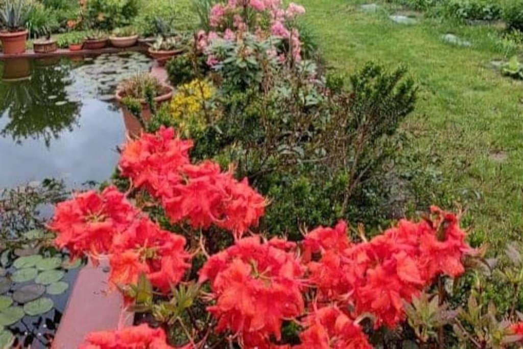 B&B Vegan La Mucca Felice - Grazioso Appartamento Nel Verde Rancio Valcuvia Екстериор снимка