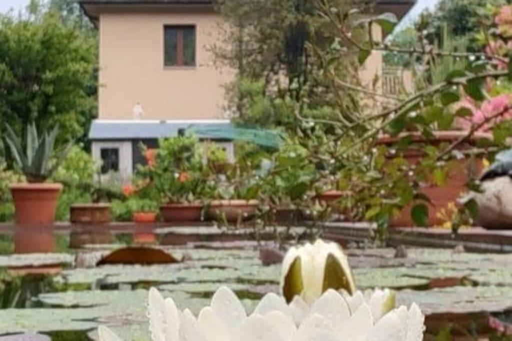 B&B Vegan La Mucca Felice - Grazioso Appartamento Nel Verde Rancio Valcuvia Екстериор снимка
